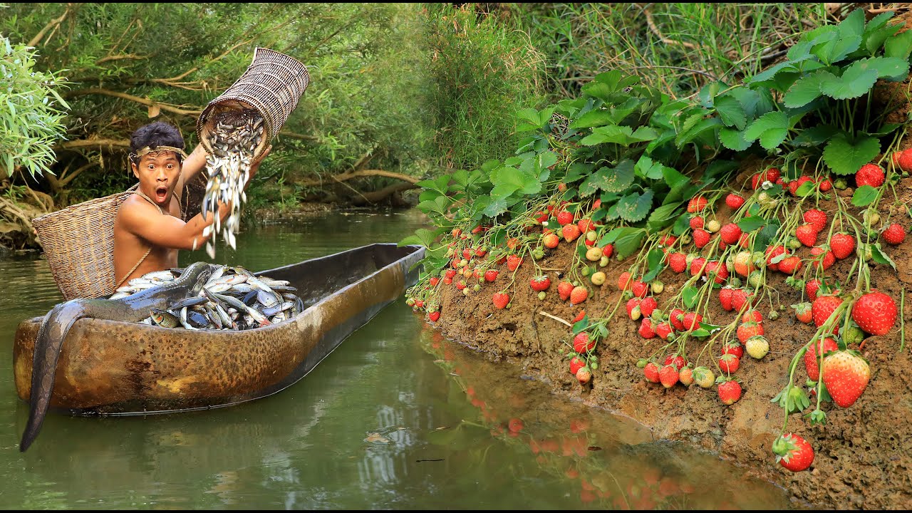 Survival in the forest   fishing in the river found strawberries Eat delicious strawberries