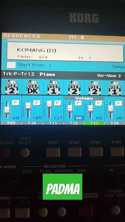 Komang #komang #korgpa600 #padma #style #song