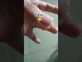 pinapaalis ko LNG nag away n mga Pisa haha #shorttrendingviral