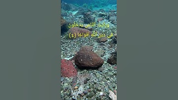 سورة النصر