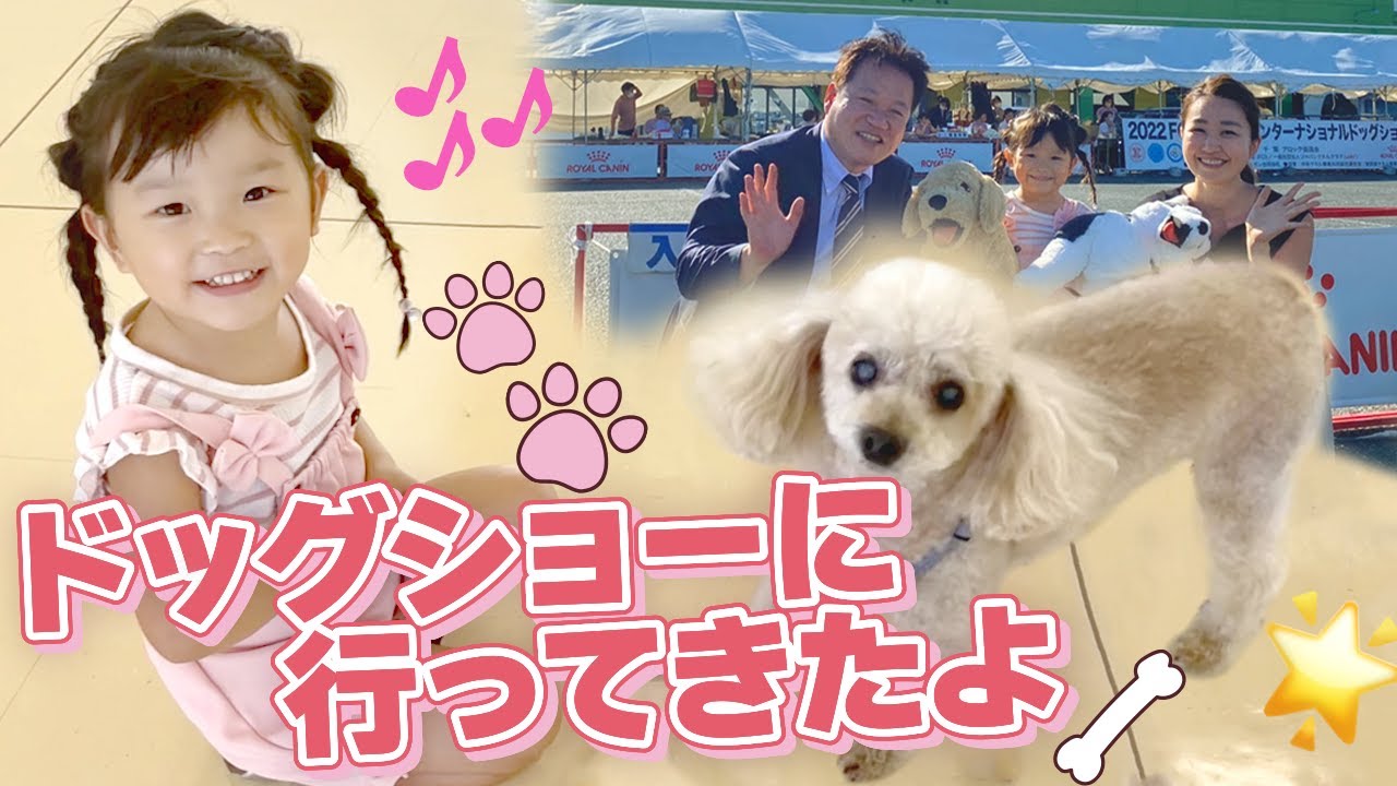 ののかちゃん♪ドッグショーで遊んだり「犬のおまわりさん」も歌ったよ♪