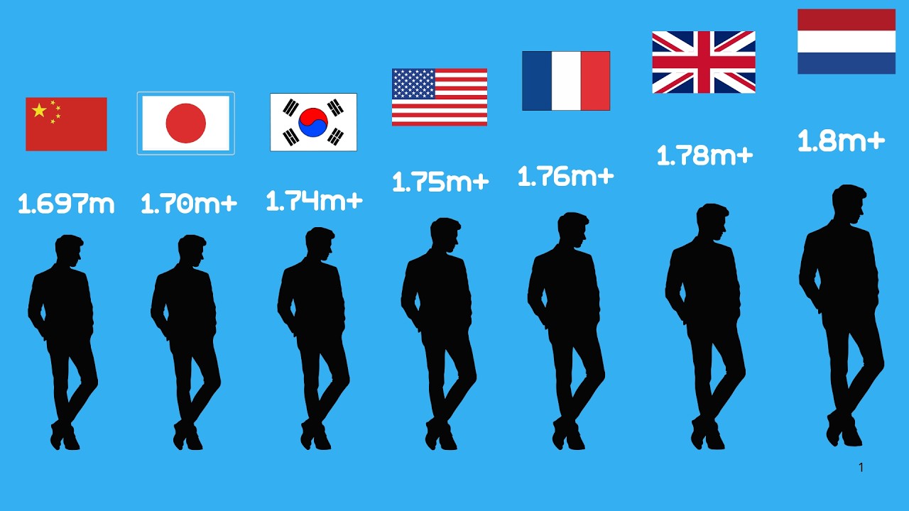 荷兰人如何从全欧最矮变成全球最高？200年长高19厘米的秘密