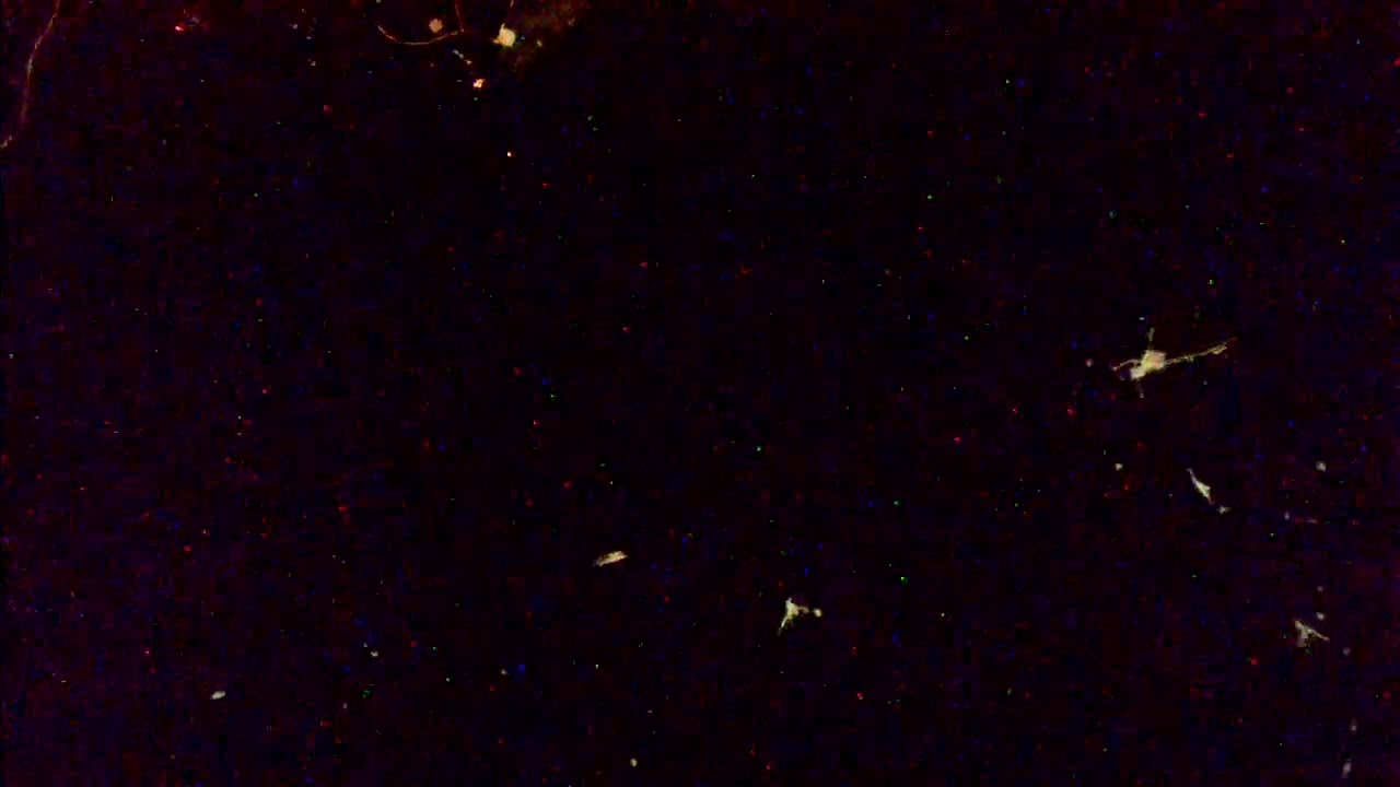 Bahrain, Dammam and some of Doha visible today from ISS (21/09/2022 