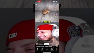 Aww, Kitty Aaaaaaaaaaaaaaaaaaaaaaaaaaaaaaaaaaaaaaaaaaaa