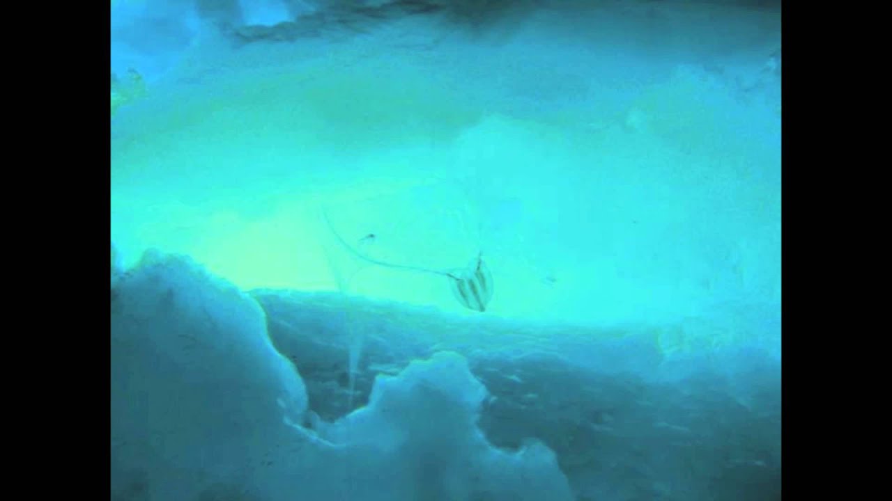 The Antlers - Endless Ladder (30 RPM) - YouTube