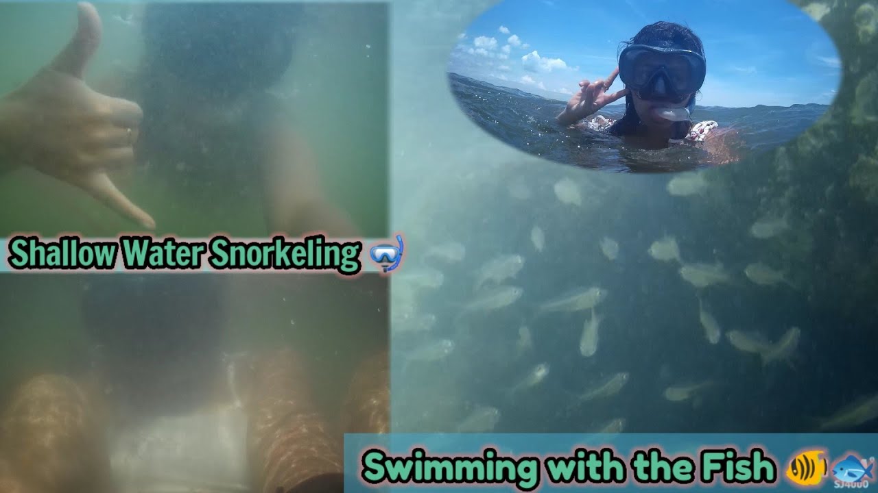 Adventure Shallow water snorkeling 🤿//Enjoyed a lot swimming with the