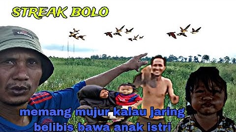 JANGAN TAK PERCAYA ❗KALAU ANAK ISTRI IKUT JARING BELIBIS REZEKINYA DOUBLE 🦆❓