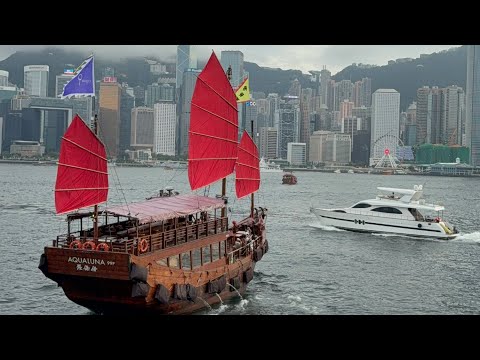 So many things to Enjoy Tsim Sha Tsui Promenade #walkthrough #tsimshatsuihongkong #amazing #k11musea