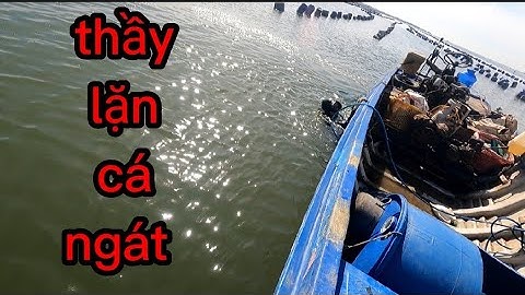 hai cha con đi kéo câu giăn, về ghé coi lặn cá ngát quá nhiều (lê nghĩa cần giờ)