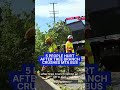MTA bus crushed by fallen tree branch, 5 people taken to hospital