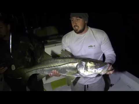 Snook Fishing Dock Lights At Night 40