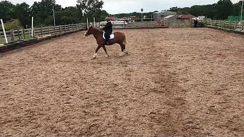 Cara Bennett - Drogeda Golden Legend - BD Intro C ...