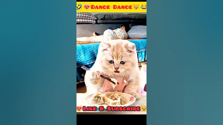 Watch the video about How cat dance | cute cat funny dance 🤣🤣 #cat #funny #cute cat funny dance |amazing dance #dance