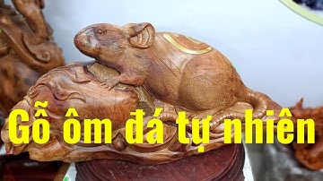Chiêm ngưỡng tượng Chuột tài lộc gỗ hương ta liền khối 100%