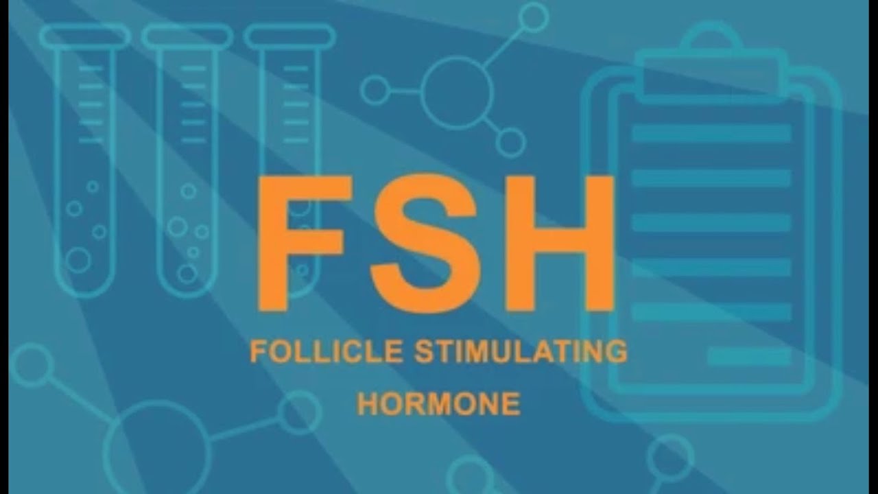 What Does The FSH Hormone Do What Is The Normal FSH Level What 