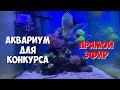 Подарю этот морской аквариум | Отвечаю на вопросы | Подробности под видео