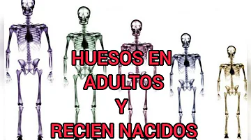 ¿Con cuántos huesos nacen los bebés?