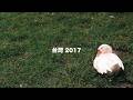 震驚！大陸主播2017年居然在台灣生活過！