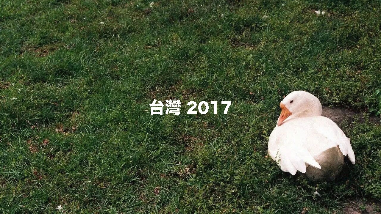 震驚！大陸主播2017年居然在台灣生活過！