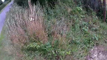 Trials and Tribulations | 2025 Poor Boys RC Speed Run Challenge! ‪@poorboysrc‬ #pbsrc #pbsrc2025