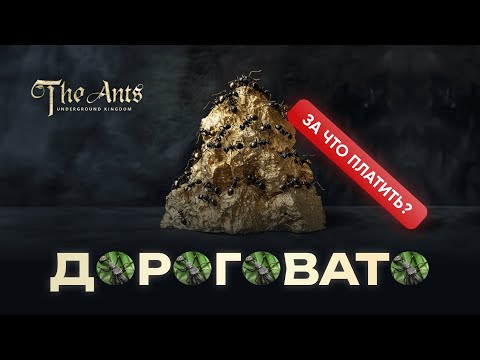 ДОРОГОВАТО! Муравьиный паук-скакун в The Ants: за что платим?