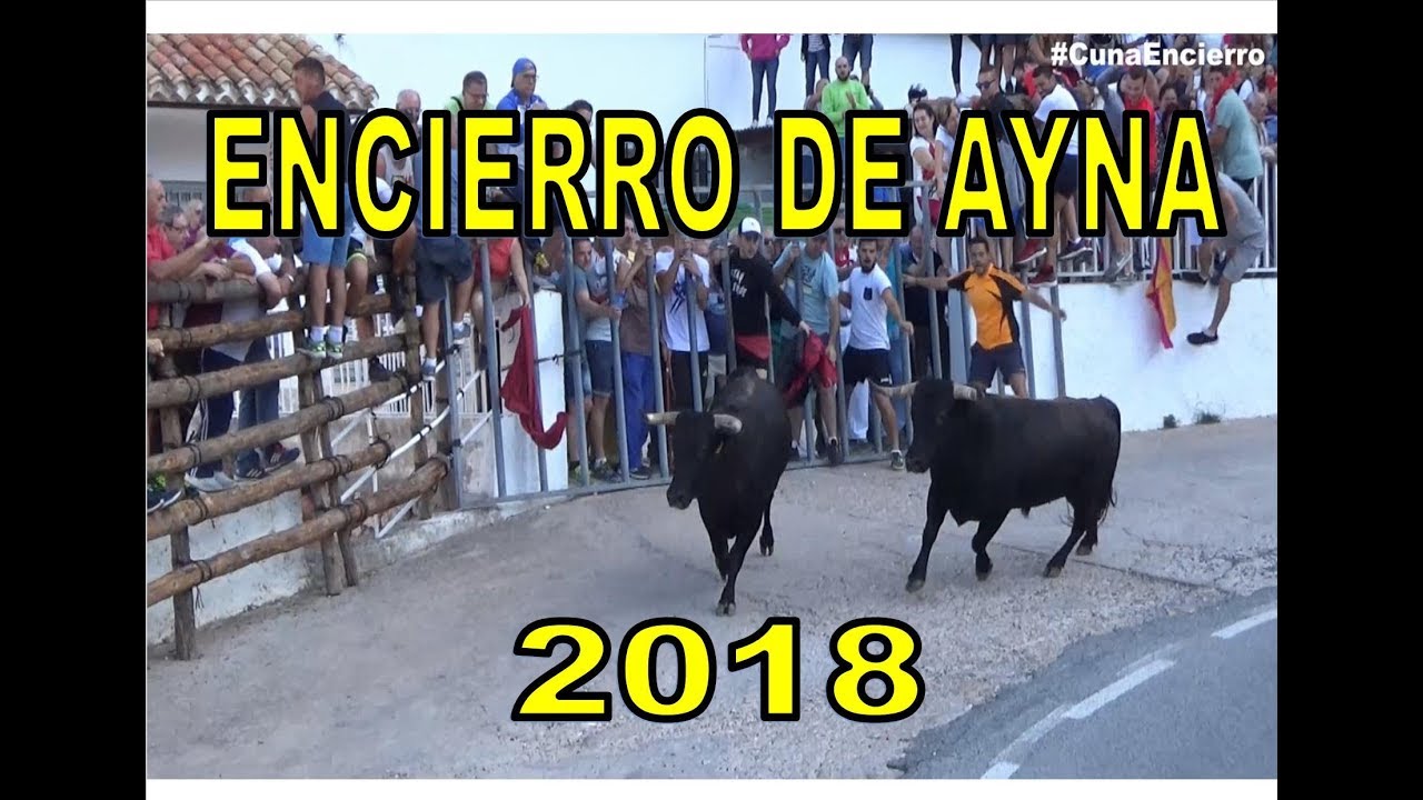 SUSTO EN AYNA  segundo Encierro 2018