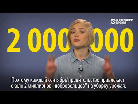 Пять центов за