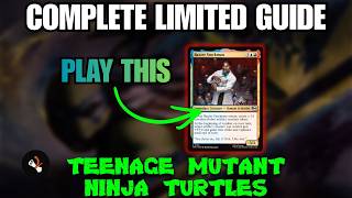 The Only TMNT Limited Guide You Need