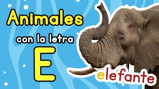 Animales Con La Letra E I✅ANIMALES CON E I Ejemplos de ANIMALES CON E 🐻🐶👀🧠