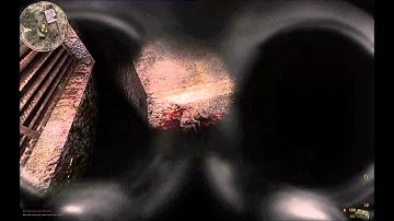 S.T.A.L.K.E.R: Call of Pripyat - Lil