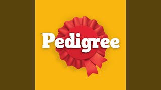 Schmackos™ O’clock - Pedigree