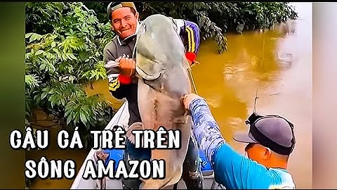 Ngư Dân Dùng Nội Tạng Làm Mồi Để Câu Cá Trê Khổng Lồ Trên Sông Amazon