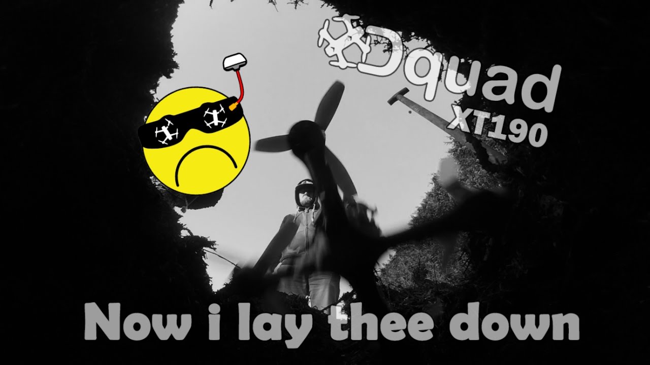 Now i lay thee down / Dquad XT190 / Schubkraft RS2206