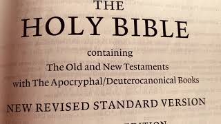 Baruch Chapter 4, NRSV Bible (Apocryphal Audiobook)