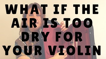 What to do if the Air is to Dry for your Violin? | Violin Lounge TV #234