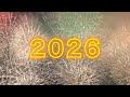 【番外編】新年、明けましておめでとうございます〜皆様のご健康と安寧を願って〜2026年もよろしくお願いします（2026.1.1）