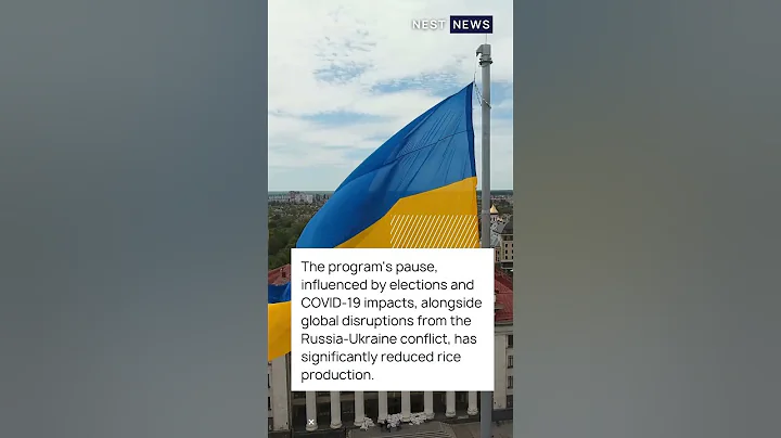 Urgent Call to Action: Reviving Nigeria's Anchor Borrowers Program to Combat Rising Rice Prices