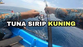 Mancing ikan tuna dapat puluhan kilo