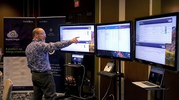 GuildOne Inc - Royalty Ledger Demonstration