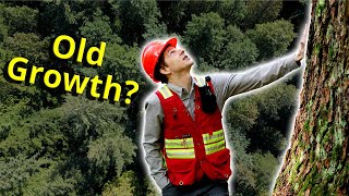 What is an Old-Growth Forest? Part 1 - Characteristics and Dynamics