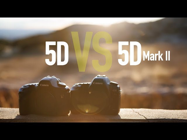Canon 5D vs 5D Mark II - YouTube
