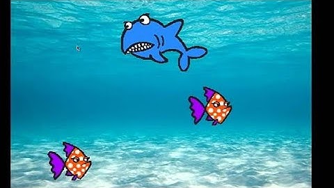Hungry Shark eating fish/ code the sprite/ Scratch program.