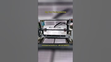 Efficient Egg Tray Production in Action!  Egg Tray Making Machine #eggtray #eggtraymachine
