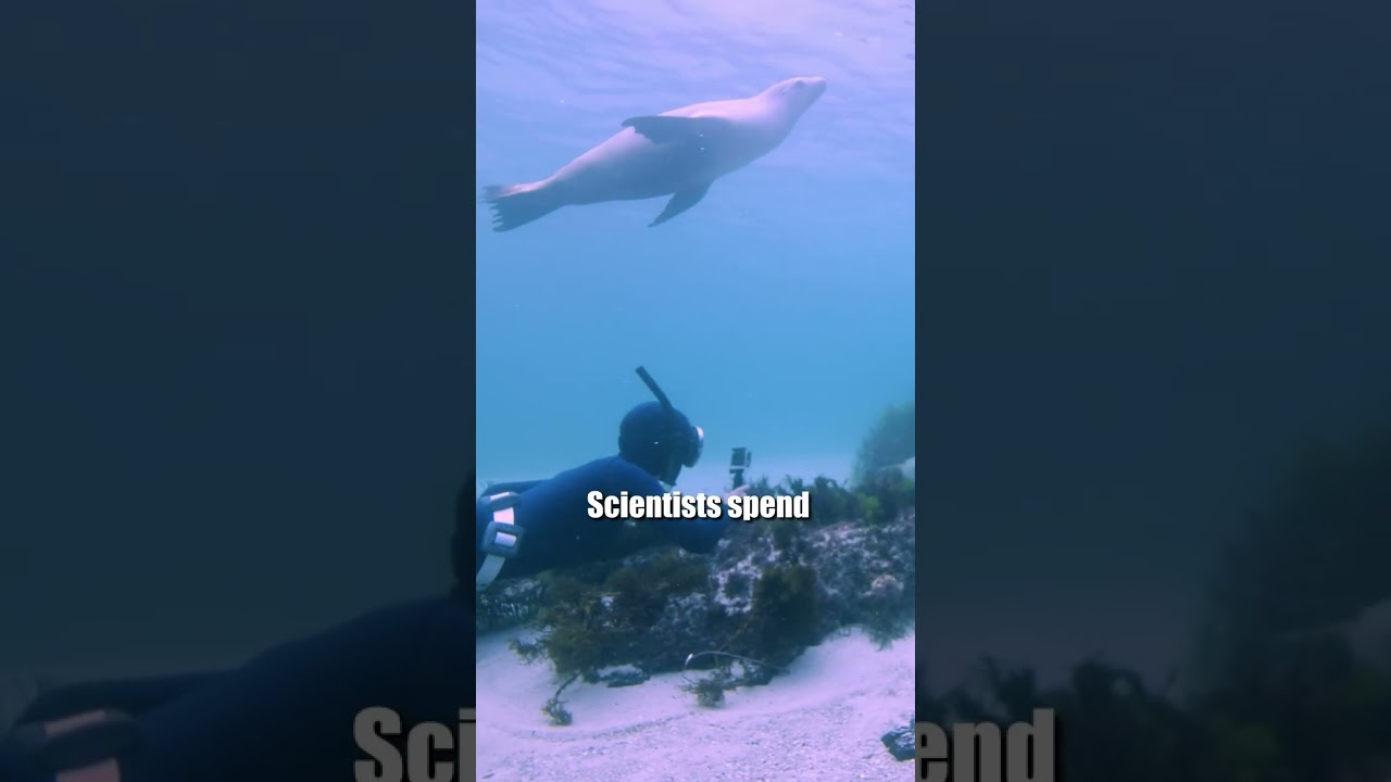 Ocean exploration is the first step toward protecting what lies beneath the surface.  🎧 Listen to t