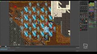 Tibia Rowana some kills and looted 800k