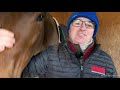 Aidan Fitzgerald selling 3 horses at the Nov 2019 Tattersalls Cheltenham sales