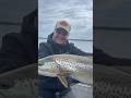 64cm Seatrout on the Abu Sölv Penna. #meerforelle #seatrout #troutfishing #fishing #fishingvideo