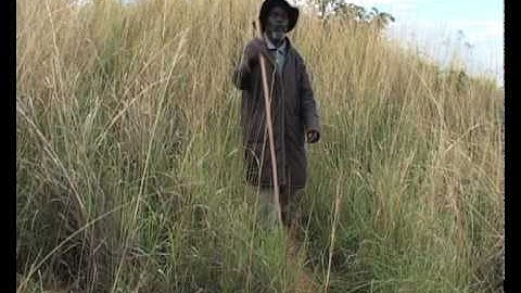 Businga (Part 3 of 3) (Participatory video)