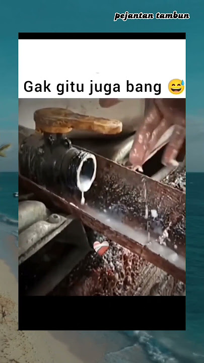 Bikin Otak Traveling🤣
