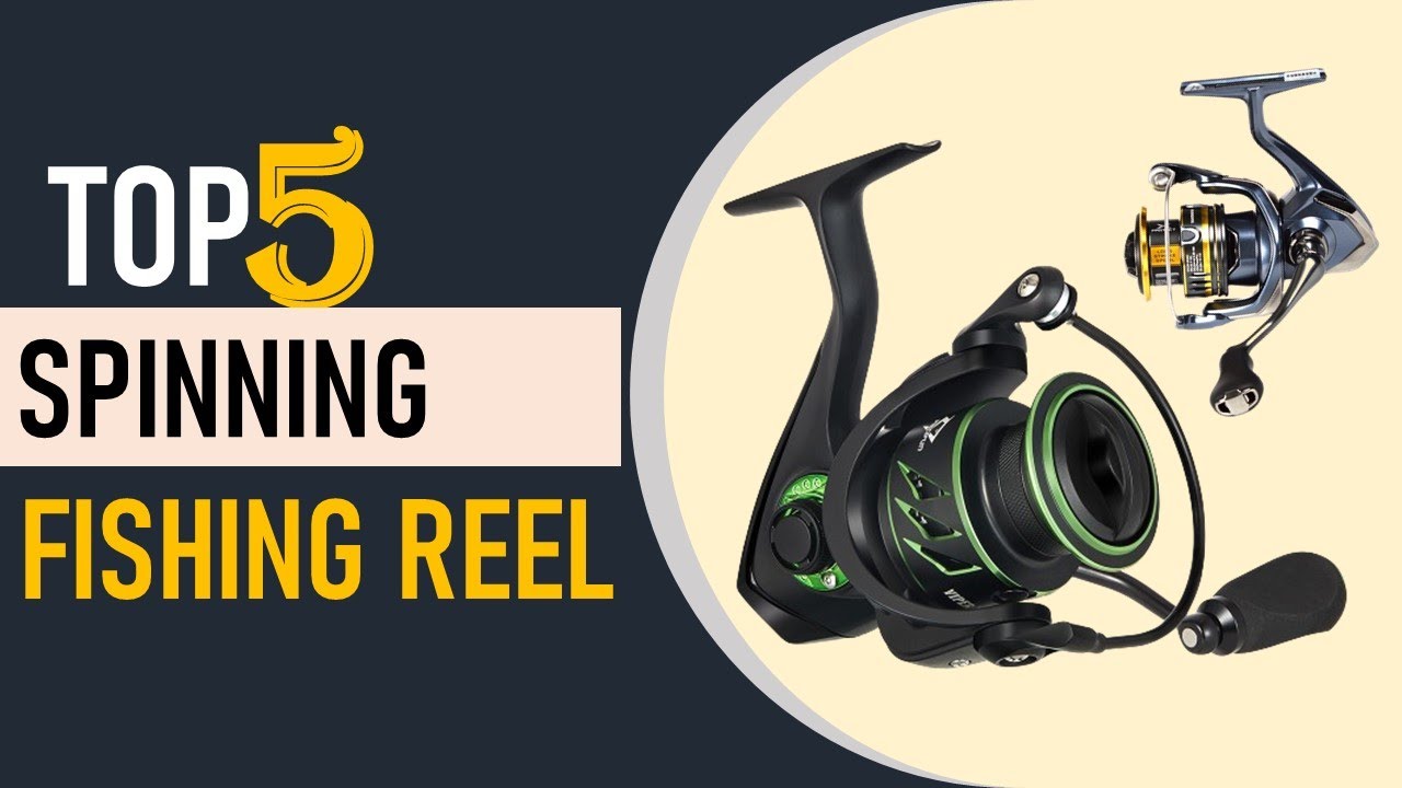 Top 5 Best Spinning Fishing Reel in 2024 | Best Spinning Reel 2024 ...